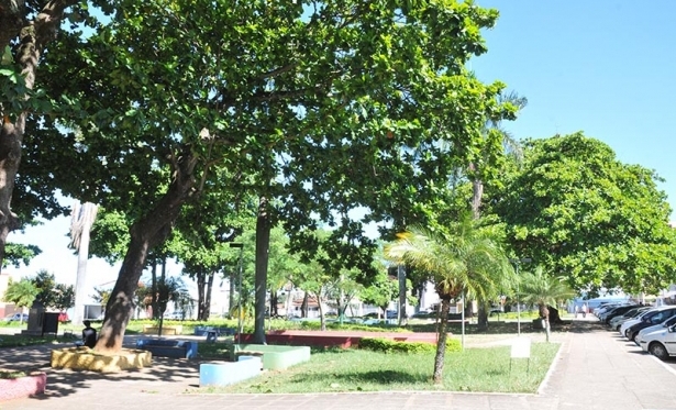 Secretaria de Meio Ambiente vistoria rvores das praas e avenidas da cidade