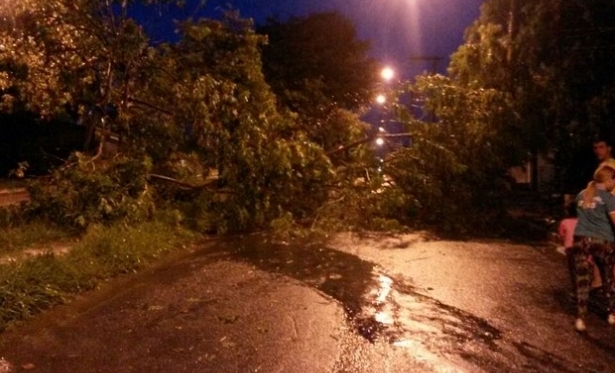 rvores caem e interditam pistas durante forte chuva em Patrocnio, MG